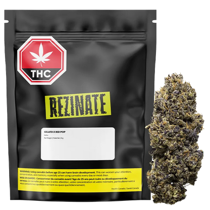 Rezinate 14 g Gelato x Red Pop Flower
