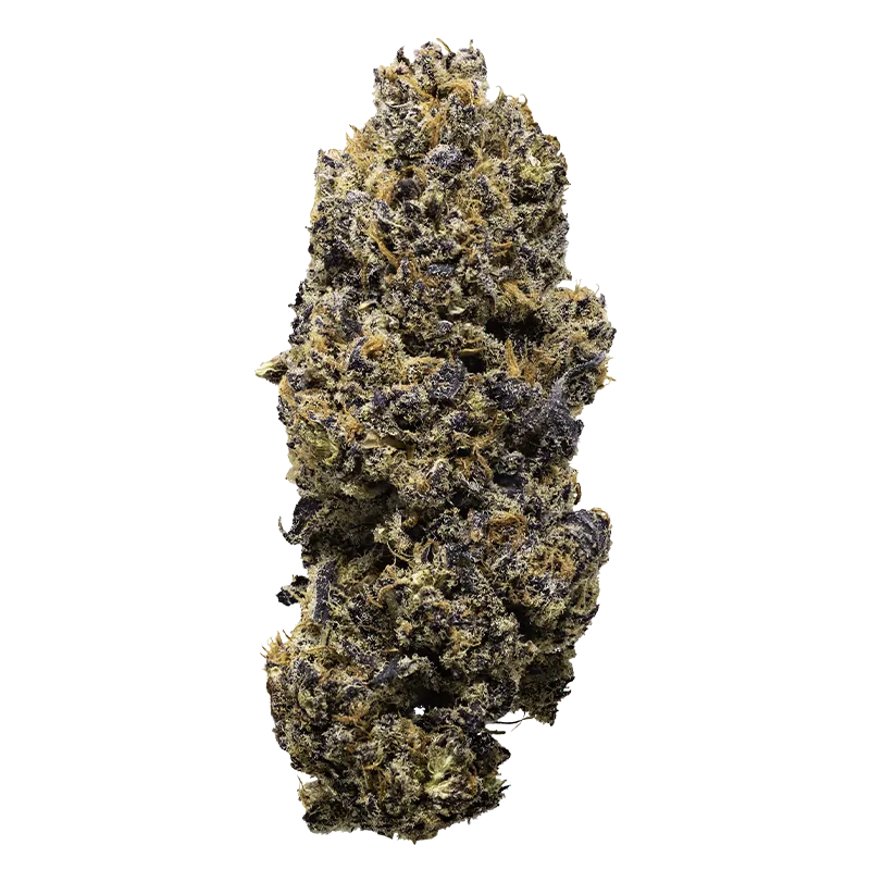 Rezinate Gelato x Red Pop Flower