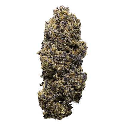 Rezinate Gelato x Red Pop Flower