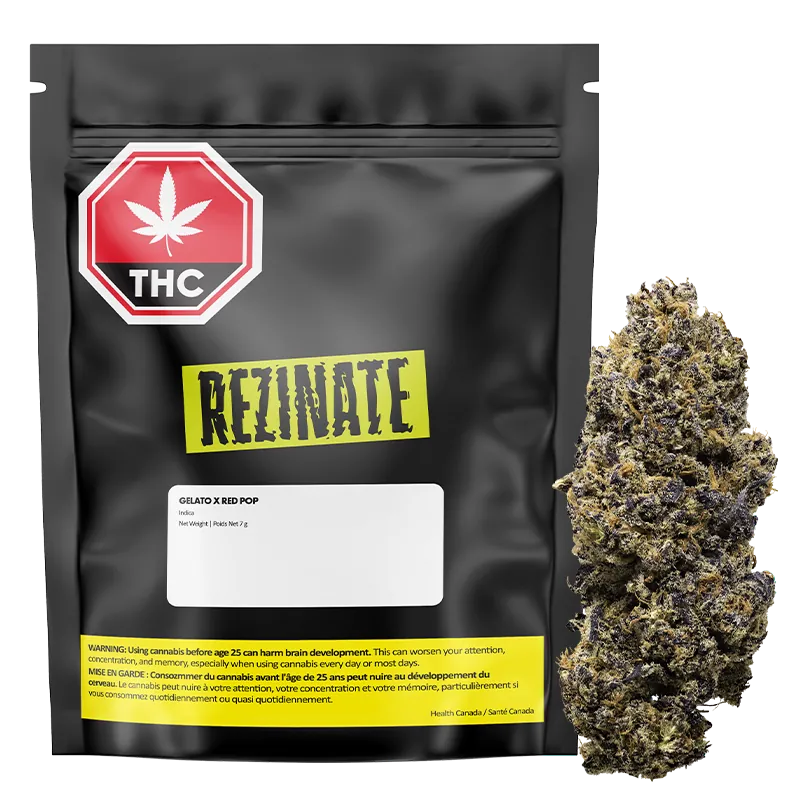 Rezinate 7 g Gelato x Red Pop Flower