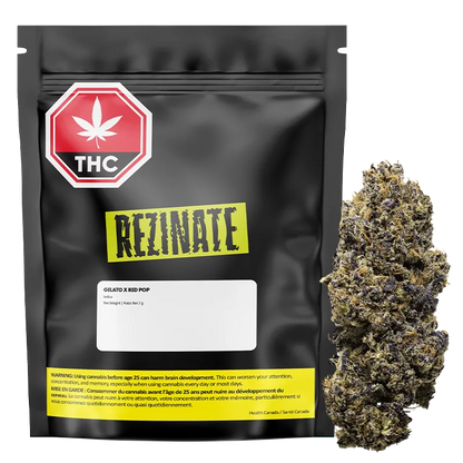 Rezinate 7 g Gelato x Red Pop Flower