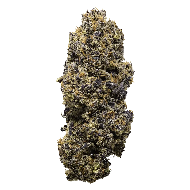 Rezinate Gelato x Red Pop Flower