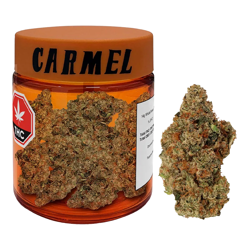 Carmel 14 g Jelly Donut Flower