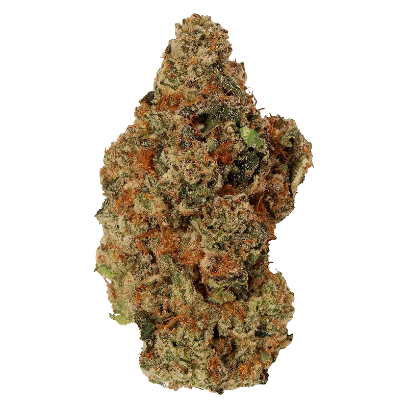Carmel 14 g Jelly Donut Flower