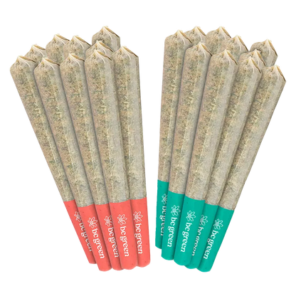 BC Green 10 g 10+10 Craft Sativa Variety Pack PR 20 x 0.5 g Pre-Rolls