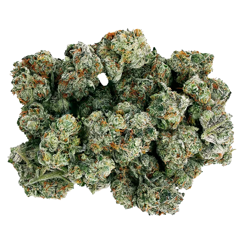 Starting Point! 7 g Frenchy Macaroni Flower