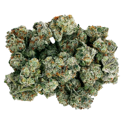 Starting Point! 7 g Frenchy Macaroni Flower