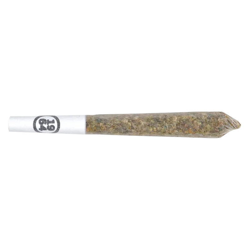 1964 1 g Pink Drip PR 1 x 1 g Pre-Rolls