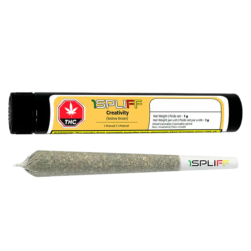 1Spliff 1 g Creativity PR 1 x 1 g Pre-Rolls