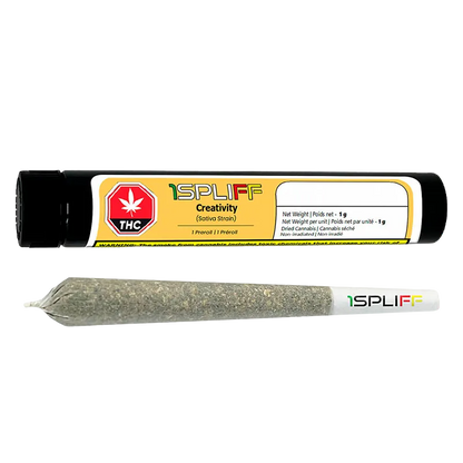 1Spliff 1 g Creativity PR 1 x 1 g Pre-Rolls