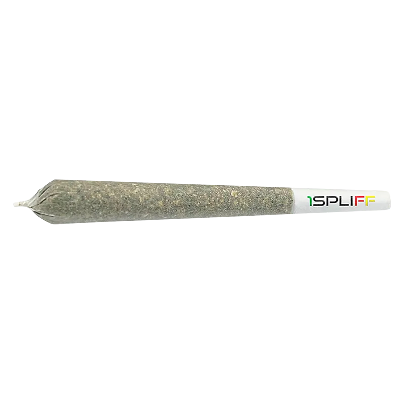 1Spliff 1 g Creativity PR 1 x 1 g Pre-Rolls