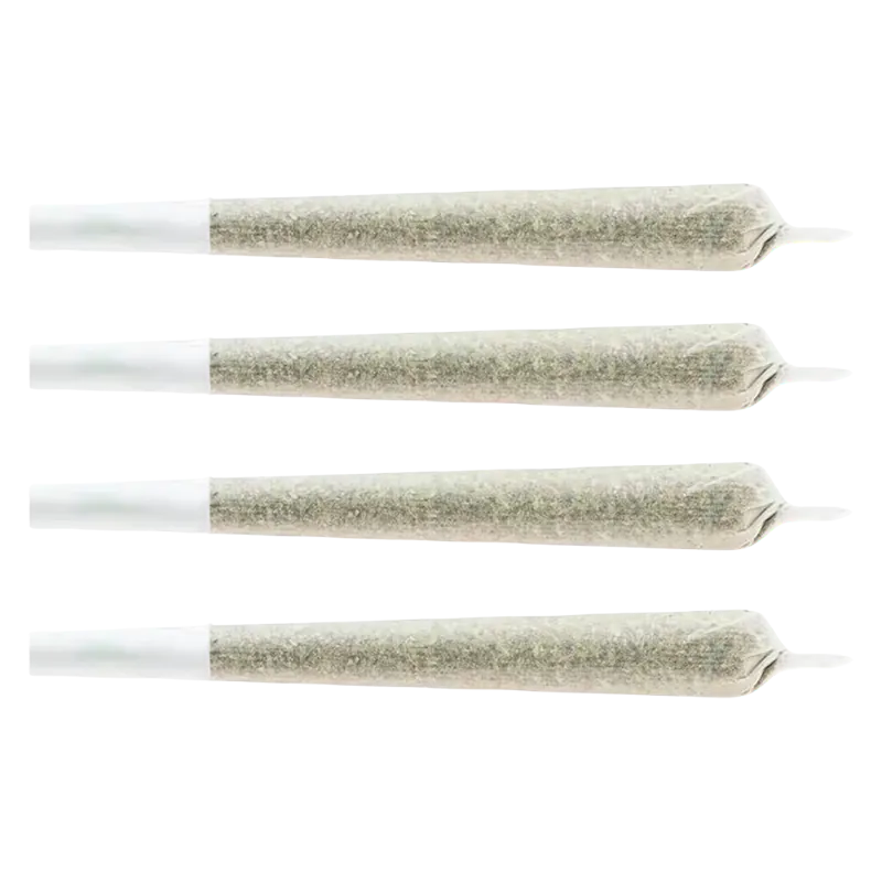 Chub's 4 g Large Snack Pack Sativa PR 4 x 1 g Pre-Rolls