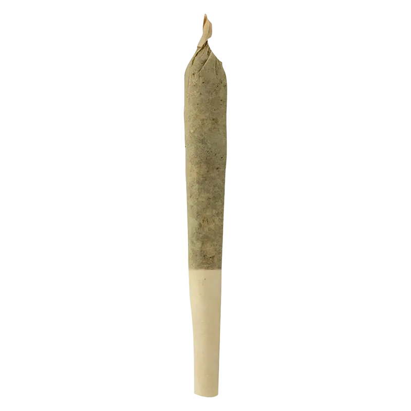 Sheeesh! 0.5 g Trop Cherry PR 1 x 0.5 g Pre-Rolls