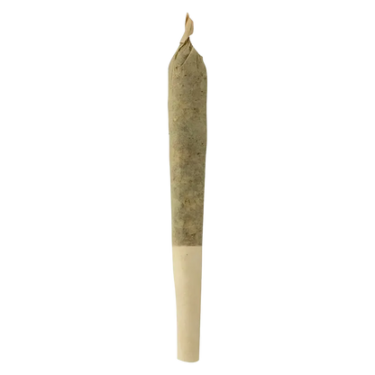 Sheeesh! 0.5 g Trop Cherry PR 1 x 0.5 g Pre-Rolls