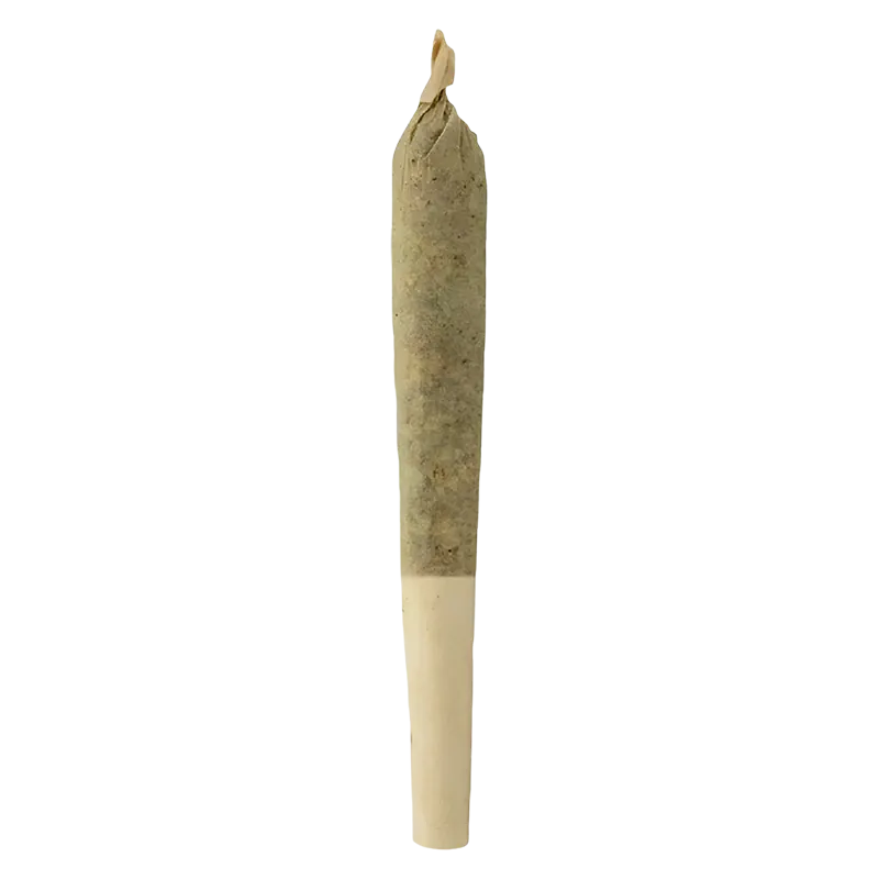 Sheeesh! 0.5 g Bluefin Tuna PR 1 x 0.5 g Pre-Rolls