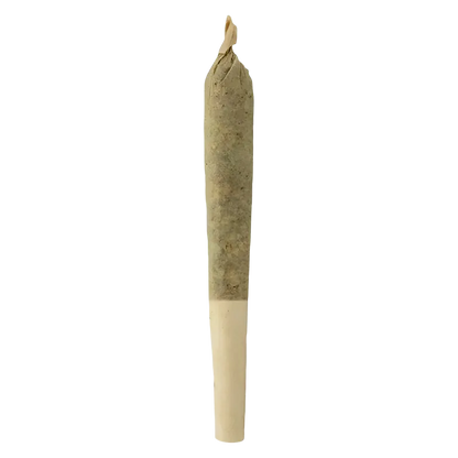 Sheeesh! 0.5 g Bluefin Tuna PR 1 x 0.5 g Pre-Rolls