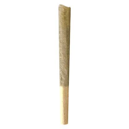 Sage N' Sour PR 10 x 0.5 g