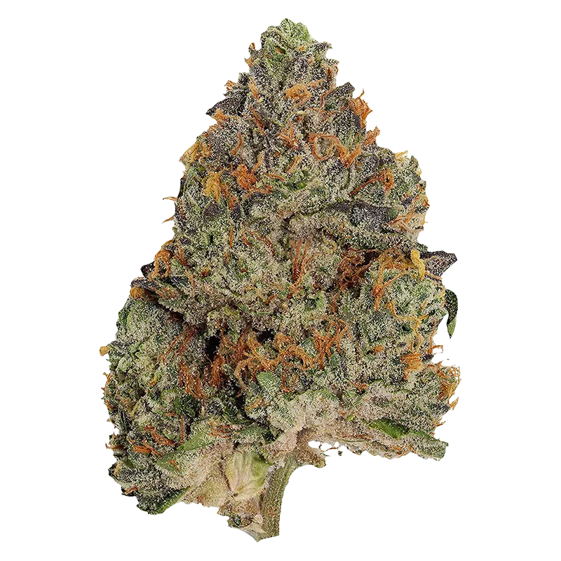 Pistol and Paris 3.5 g Blue Zushi Smalls Flower