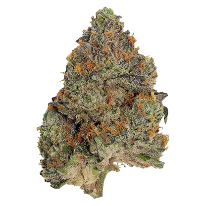 Pistol and Paris 3.5 g Blue Zushi Smalls Flower