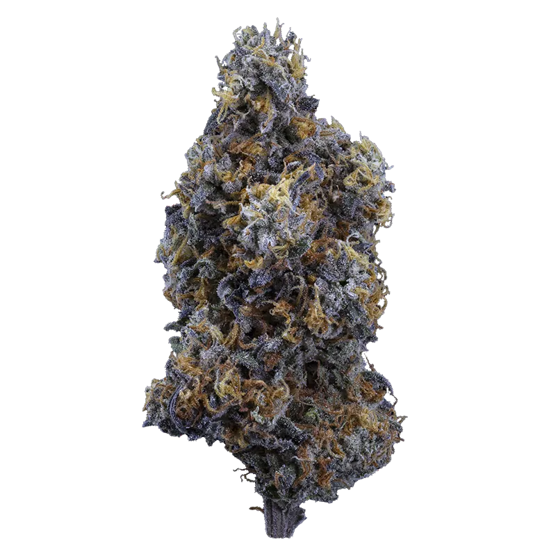 Sweetgrass Organic Cannabis 3.5 g Crushed Velvet Petites Lto Flower