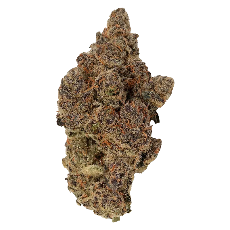 Carmel 3.5 g Jungle Juice Flower