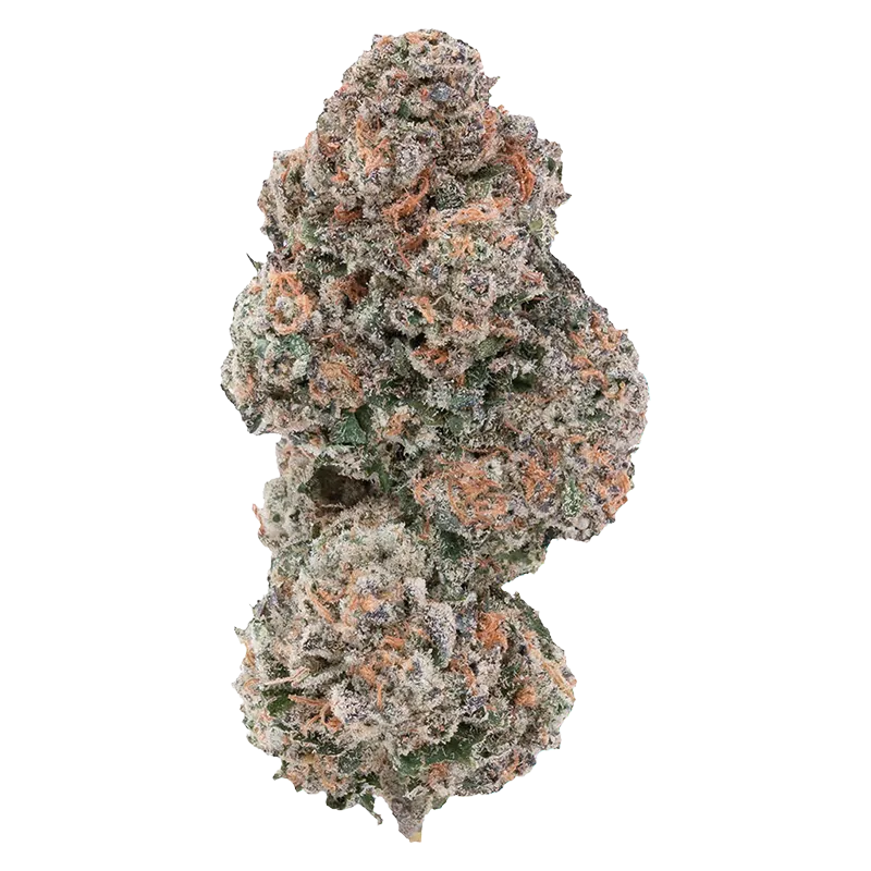 1964 7 g Sour Congo Flower