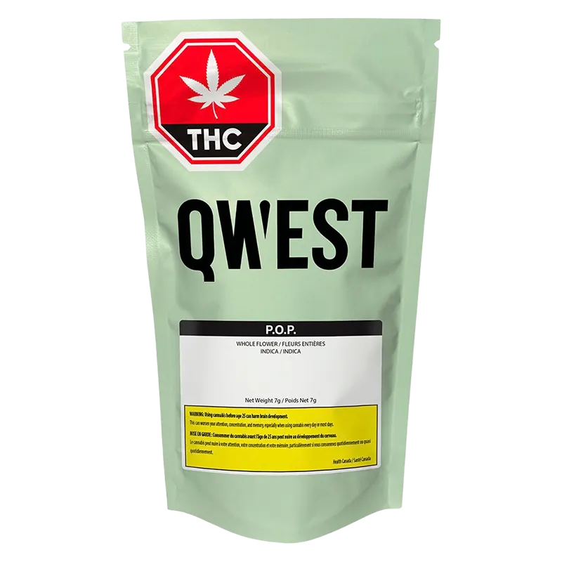 Qwest 7 g Pop Craft Flower