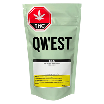 Qwest 7 g Pop Craft Flower