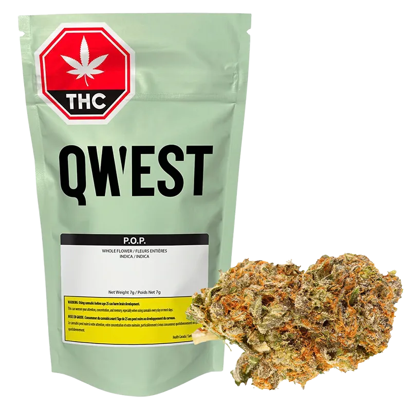 Qwest 7 g Pop Craft Flower