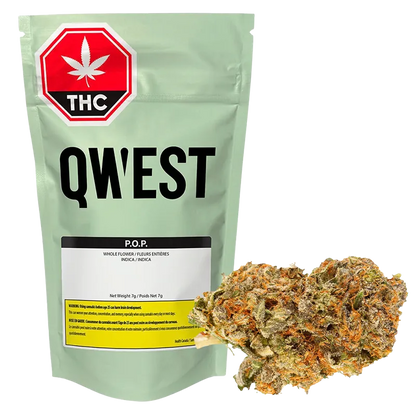 Qwest 7 g Pop Craft Flower