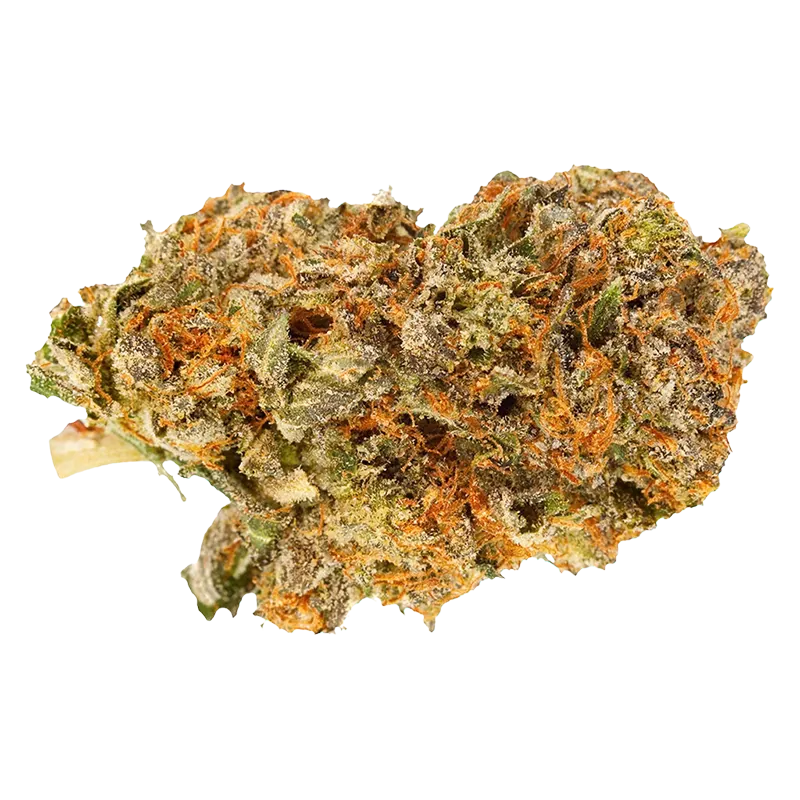 Qwest 7 g Pop Craft Flower