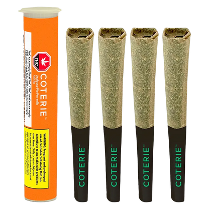 Coterie 2 g Jealousy Pie PR 4 x 0.5 g Pre-Rolls