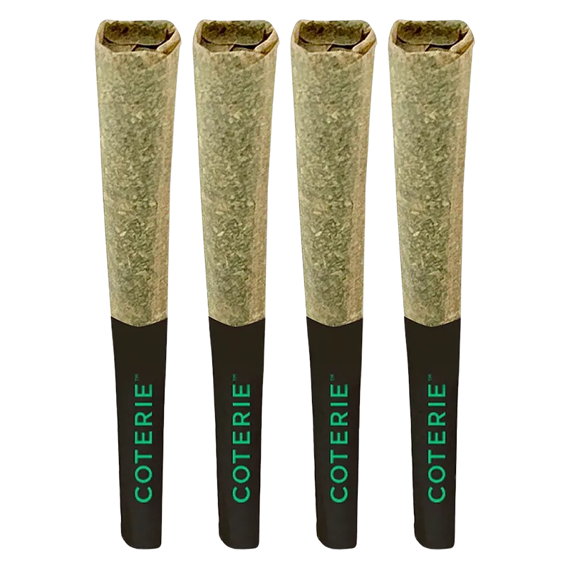 Coterie 2 g Jealousy Pie PR 4 x 0.5 g Pre-Rolls