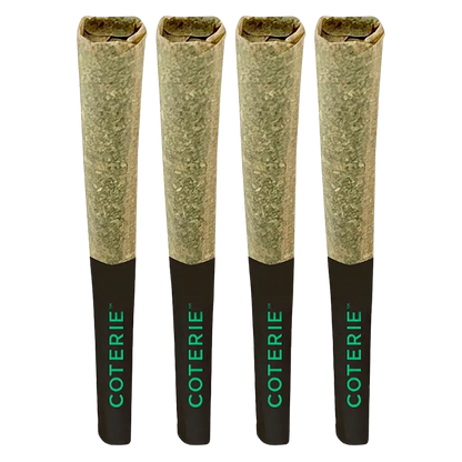 Coterie 2 g Jealousy Pie PR 4 x 0.5 g Pre-Rolls