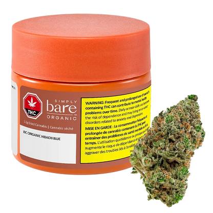 BC Organic Hibachi Blue