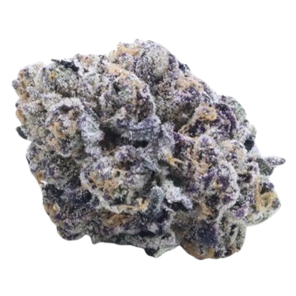 Super Buff Cherry