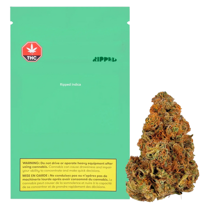 Ripped Indica