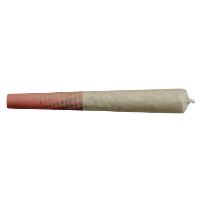 Blueberry Dream PR 10 x 0.75 g