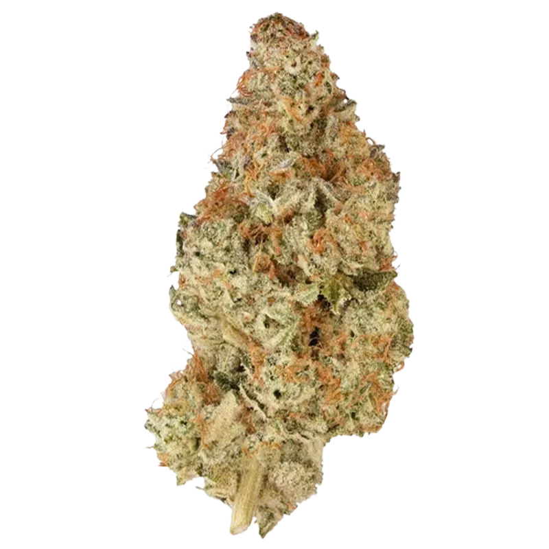 1964 7 g Pink Drip Flower
