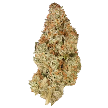 1964 7 g Pink Drip Flower