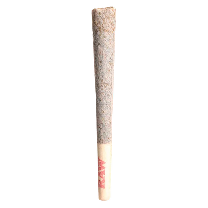 Tenzo 1 g Jokerz Cndy PR 1 x 1 g Pre-Rolls