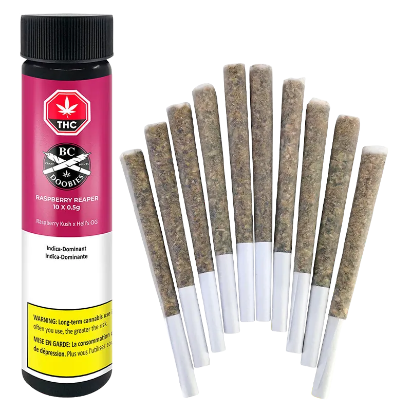 BC Doobies 5 g Raspberry Reaper PR 10 x 0.5 g Pre-Rolls