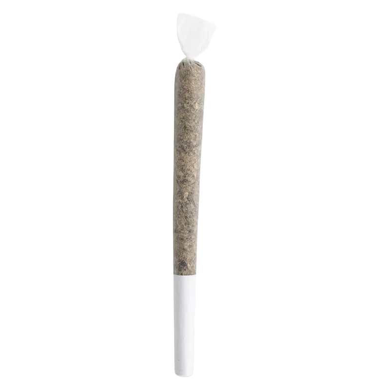 Jack Herer 1 g Master Jack PR 1 x 1 g Pre-Rolls