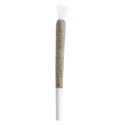 Jack Herer 1 g Master Jack PR 1 x 1 g Pre-Rolls