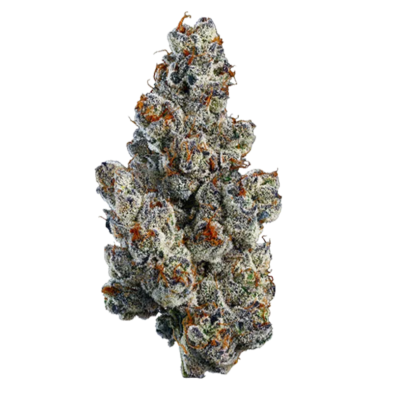Woody Nelson 7 g Organic Bling Blaow Craft Flower Flower