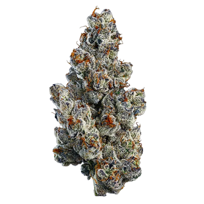 Woody Nelson 7 g Organic Bling Blaow Craft Flower Flower