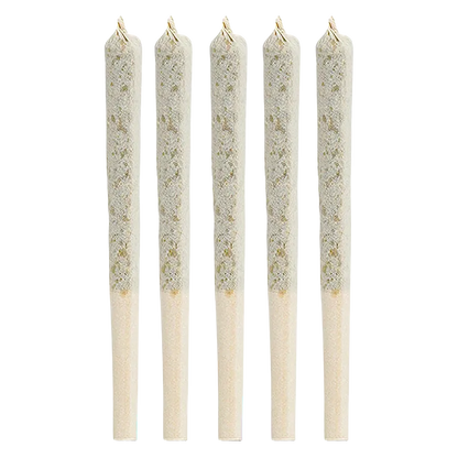 1964 2.5 g Sour Congo PR 5 x 0.5 g Pre-Rolls