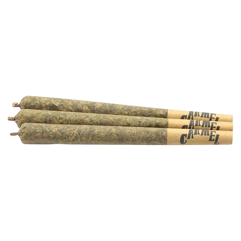 Carmel 1.5 g Jungle Juice PR 3 x 0.5 g Pre-Rolls