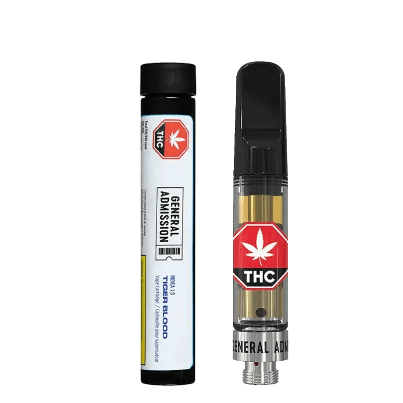 elfbar elfa master akku 15 Best Weed Vapes of 2024 Will Take You Higher Than Ever main image 0