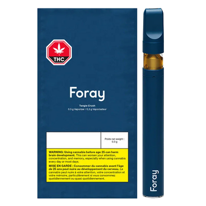 foray disposable vape pen Crave Max Mango Ice 2500 Puffs main image 1